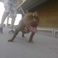 casi 6 meses